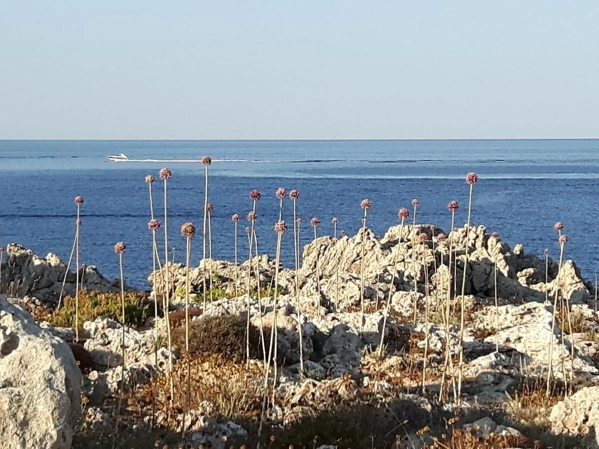 Ficula Vell Beachfront Villa With Private Pool Punta Grossa